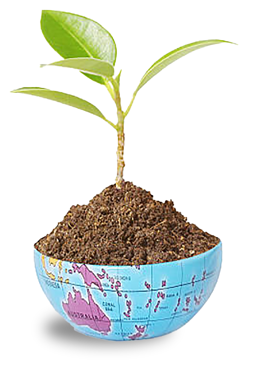 ESG and sustainability at Ozellar Marine